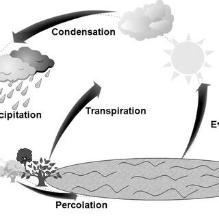 Simplified diagram of the hydrologic cycle (water cycle) | Download ...