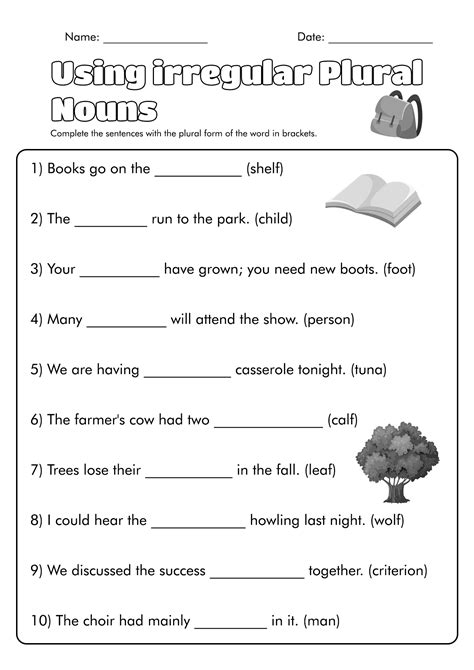 Plural Irregular Nouns Worksheets