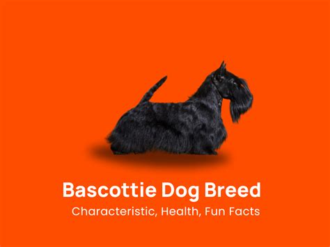 Dog Breed Thepetboy