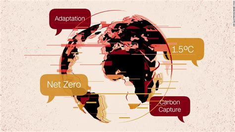 What Does Net Zero Mean Our Climate Change Glossary Will Help You