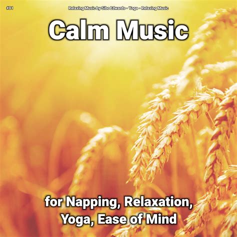 Calm Music Pt 4 Relaxing Musicyoga 单曲 网易云音乐