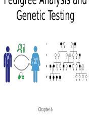 Chap Pedigree Analysis Genetic Testing Handout Pptx Pedigree