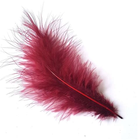 Burgundy Feathers Large Marabou Feather Planet