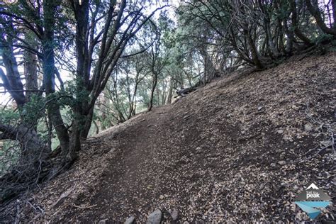 Hiking Tehachapi Mountain Trail - Trail to Peak