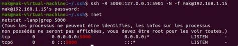 Comment Configurer Le Tunnel Ssh Redirection De Port Malekal