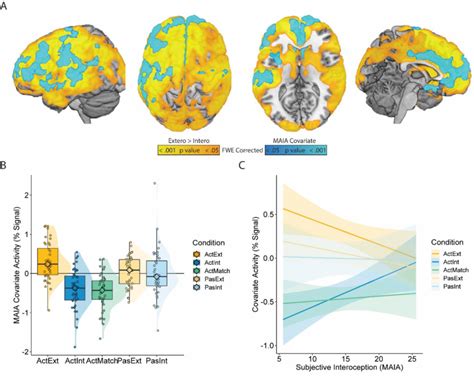 Covariates Of Self Reported Interoceptive Awareness A Orange Regions