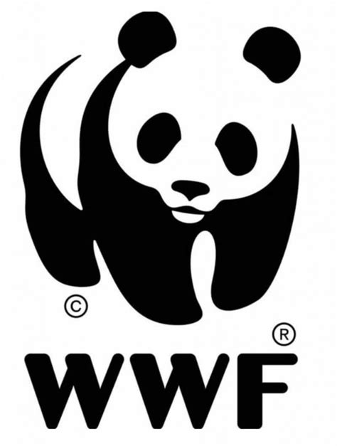 World Wide Fund for Nature (WWF) – China Development Brief