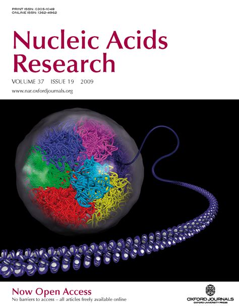 Nucleic Acid Research Impact Factor 2024 Naoma Vernice