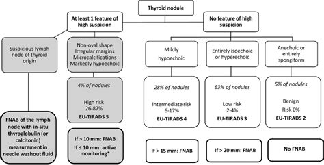 Indications For Thyroid Nodule Fine Needle Aspiration Biopsy According