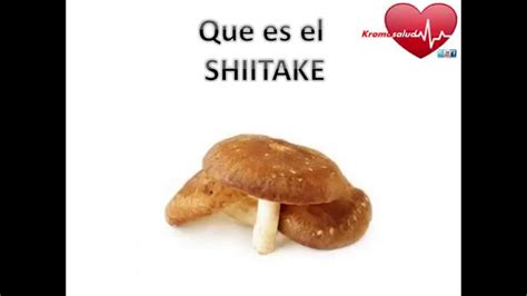 Que Es El Hongo Shiitake Y Para Que Sirve YouTube