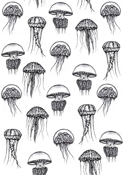 Jellyfish Line Drawing