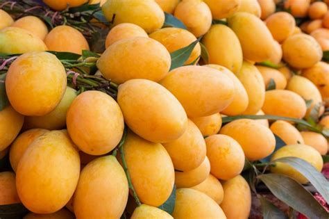 Ciruela Mariana Madura Fresca Mayongchid Maprang Ciruela Mango