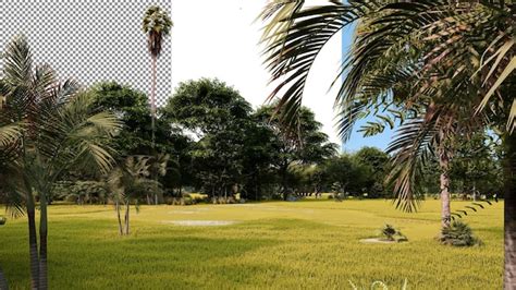 Psd Oasis Parque Cidade Modelos Psd Gr Tis De Alta Qualidade Para