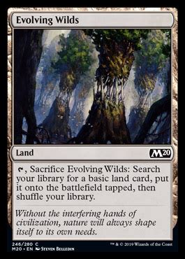 Evolving Wilds CORE 2020 Visual Spoiler