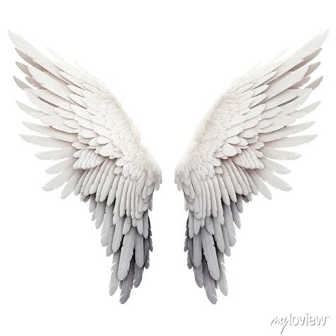 Realistic Angel Wings Isolated On Transparent Background Png Posters