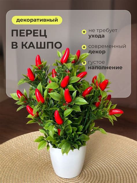 Искусственные цветы / Декоративный перец в кашпо Высота 20 см. Декор ...