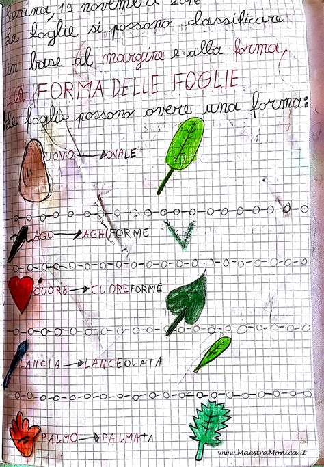 La Forma Delle Foglie 1 MaestraMonica