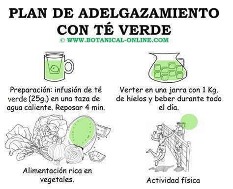 Descubrir Imagen Receta Te Verde Para Adelgazar Abzlocal Mx