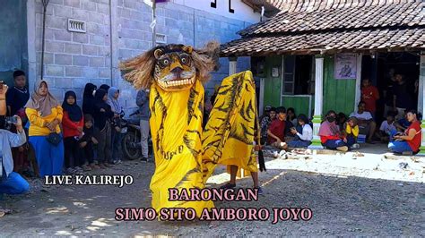 Barongan Simo Sito Amboro Joyo Terbaru Live Kalirejo Oktober