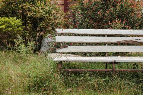 Bench Old Vintage In Park Stock Photo Image Of Flower 72886990