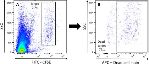 A Flow Cytometry Based Cytotoxicity Assay For The Assessment Of Human