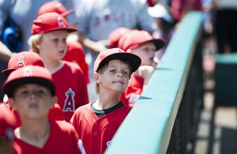 Little League players check out the view in a big league park – Orange ...