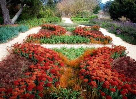 Drought Tolerant Garden Design by Eckersley Garden Architecture