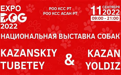ВЫСТАВКИ. КАЗАНСКИЙ ТУБЭТЭЙ - 2022 И ЙОЛДЫЗ KAZAN - 2022 - Медицина ...