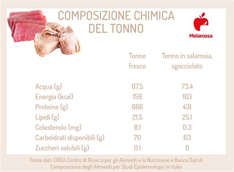 Tonno Caratteristiche Valori Nutrizionali Benefici Le Migliori Ricette