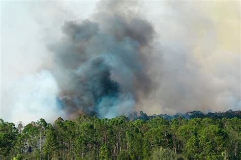 Vista A Rea De Un Gran Incendio Forestal Que Arde Severamente En Los