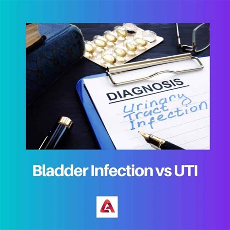 Infecci N De La Vejiga Vs Uti Diferencia Y Comparaci N