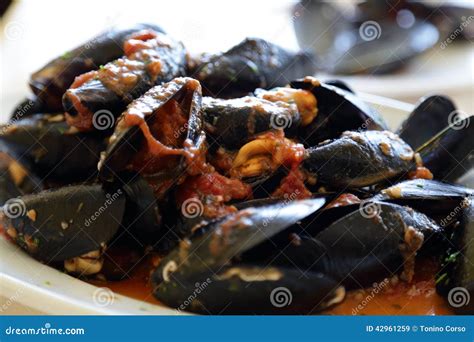 Mussels Stock Image Image Of Eating Flow Fins Float 42961259