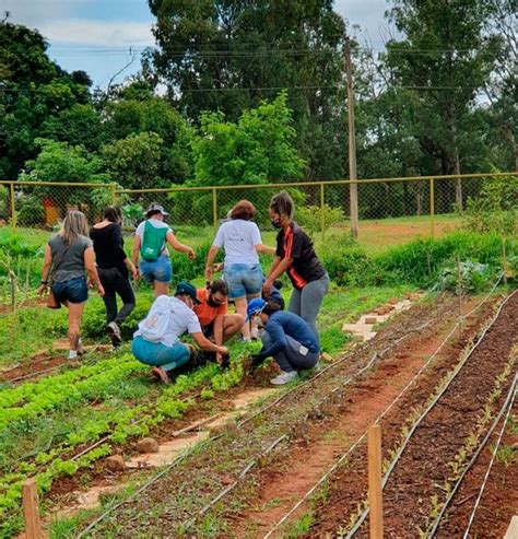 Hortas Comunit Rias E Fazendas Verticais S O Alternativas Para