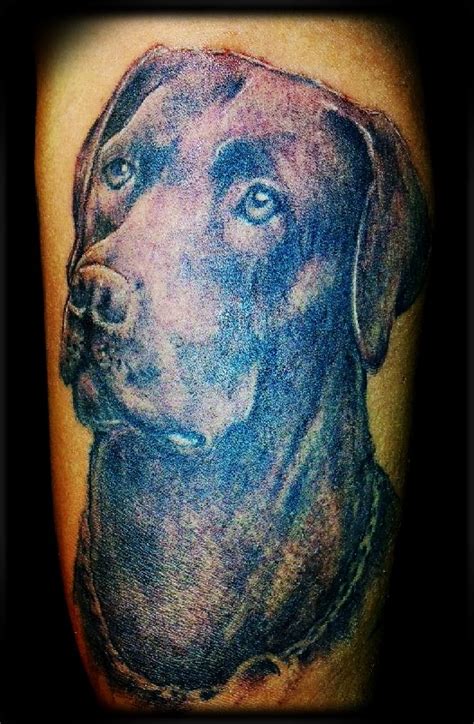 Chocolate Lab Portrait Tattoo By Cracker 225cracker Dog Tattoos