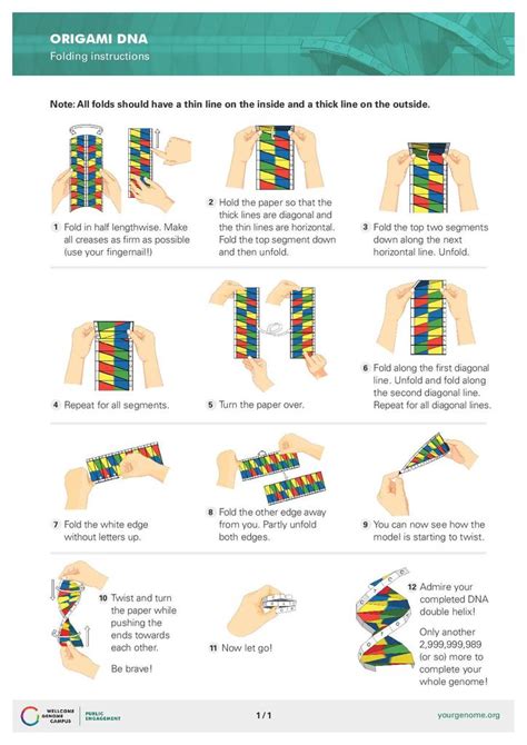 Dna Origami Template Printable Word Searches