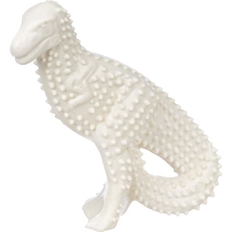 Nylabone Dental Dinosaur Chew | Petco