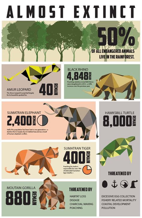 Infographic Endangered Species