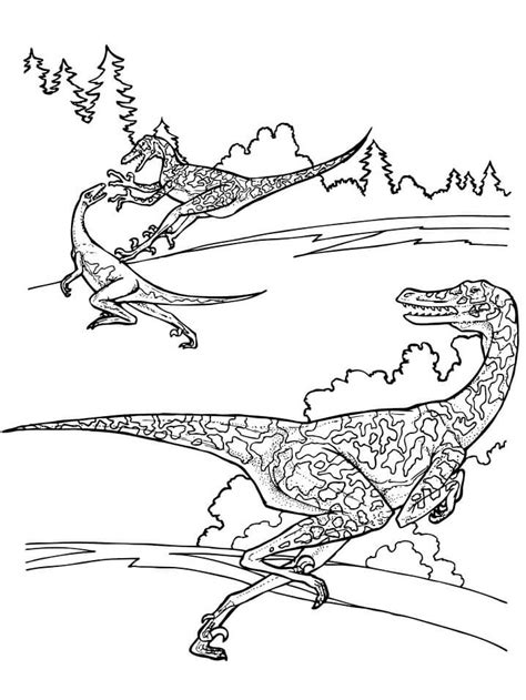 Desenhos De Velociraptor Para Colorir Pintar E Imprimir