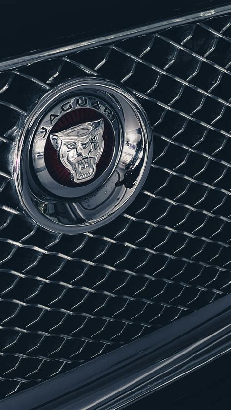 Jaguar Emblem · Free Stock Photo