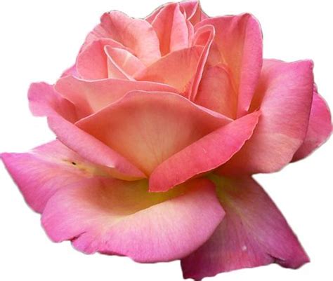 17 Best images about Color Graphics & Clip Art on Pinterest ...