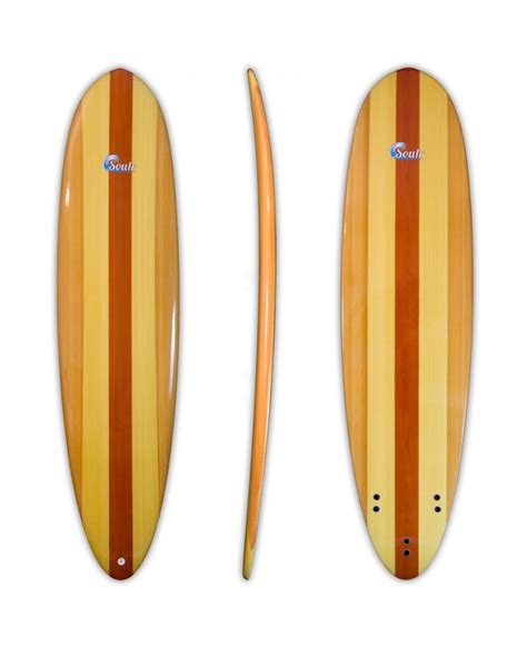 StoreYourBoard Blog Surfboards For Beginners Buying Your First