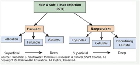 Skin And Soft Tissue Infections Flashcards Quizlet