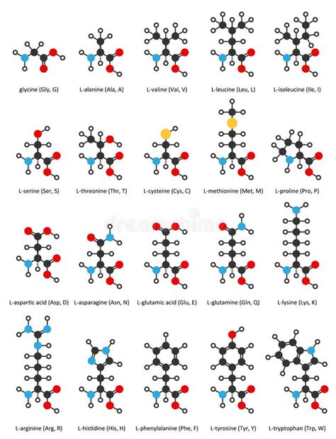 Aminozuren 2D Chemische Structuren Van Comm 20 Vector Illustratie