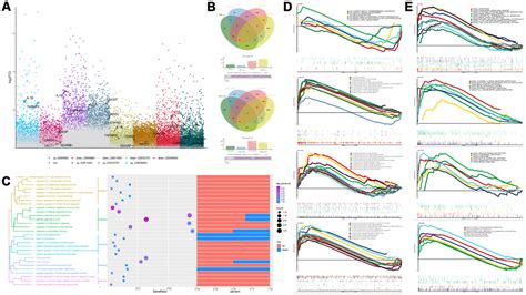 The Il Her Cldn Cldn Axis Mediates Lung Barrier Damage In Ards