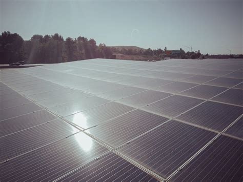 Verschattung Pv Anlage Welche Ma Nahmen Helfen