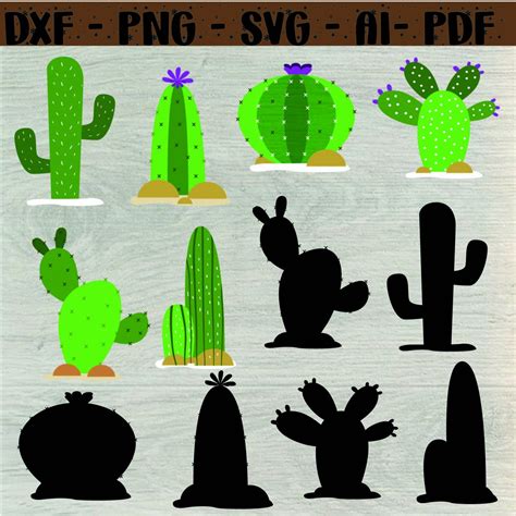 Cactus Svg Bundle Cricut Cut File Cactus Png Bundle Cacti Svgs Layered