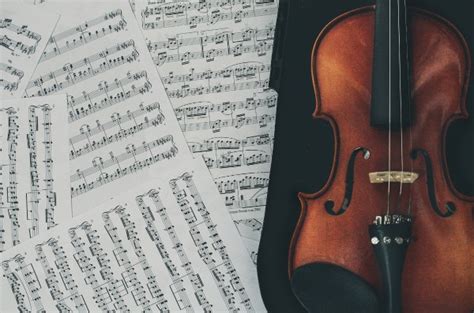 Tips To Choose Violin Strings