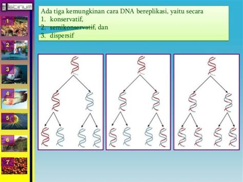 Buku Xii Bab 3 Substansi Genetik