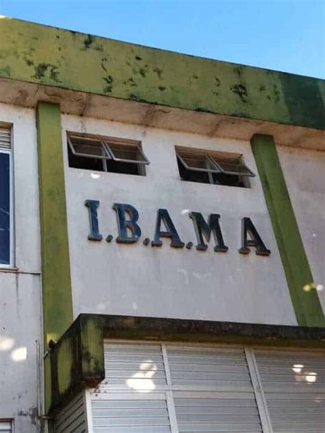 Ibama aplica multa de R 47 milhões para desmatadores Seu Crédito Digital