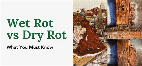 Wet Rot vs Dry Rot: What You Must Know – Fence Armor